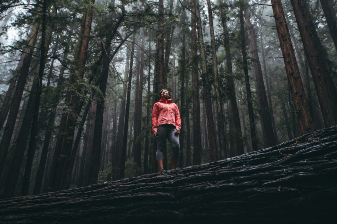 woman in forest